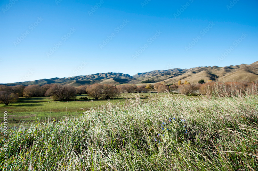 Lindis Valley,South island,New Zealand Lindis Valley,South island,New Zealand