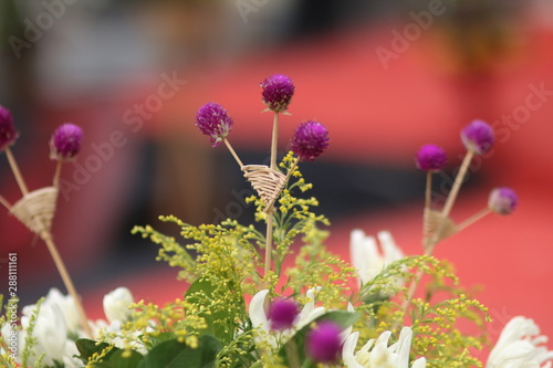 a flowers plant garden green 