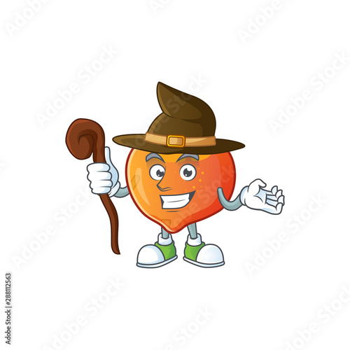 Witch nectarine cartoon character on a white background