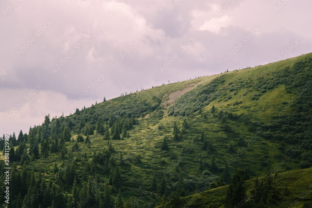 Foggy landscape near Blyznytsya mountain in the Carpathian mountains