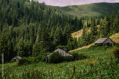 Fototapeta Naklejka Na Ścianę i Meble -  Foggy landscape near Blyznytsya mountain in the Carpathian mountains
