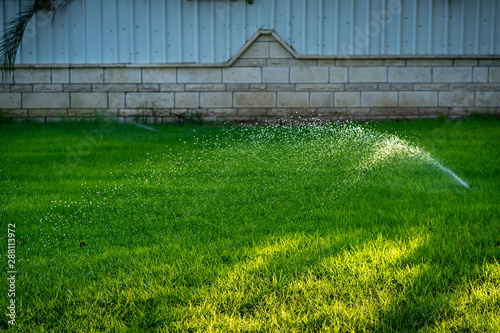 water sprinkler photo