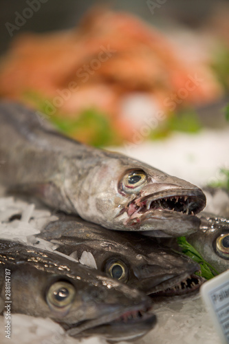 Obraz na płótnie Pescado en punto de venta w salonie