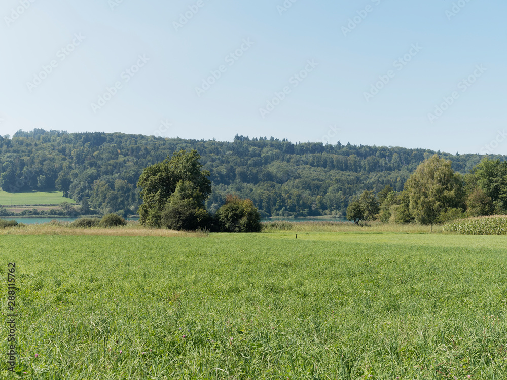 Schweizer Seenlandschaft - Rund um den Hallwilersee - Kanton Aargau - Wanderweg entlang des sees in Naturschutzgebiet und biotop zwischen Mosen und Aesch 