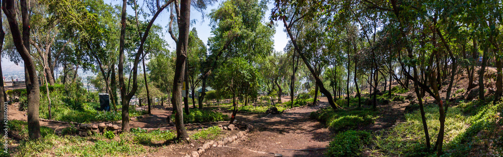 Fototapeta premium Beautiful park on San Cristobal hill in Santiago, Chile.