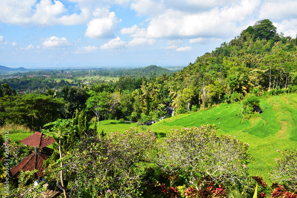 Beautiful view of Garden at Bukit Jambul, a spot for selfie, on the way to Besakih Temple, Bali.