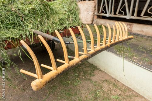 yellow rake with freshly cut grass in front of the cowshed