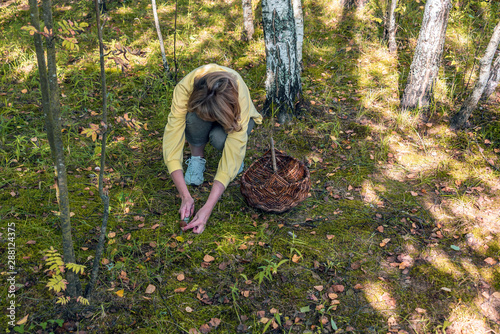 Woman picking mushrooms in the forest