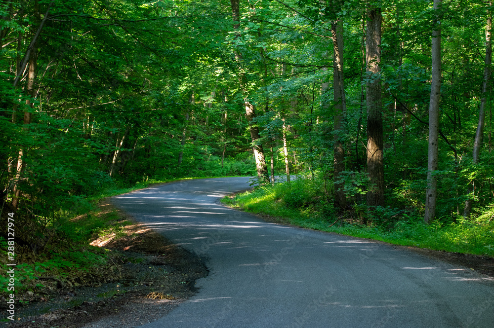 Fototapeta premium Back Country Road
