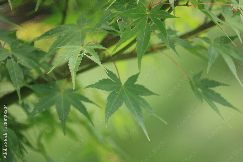 feel nature feel nature