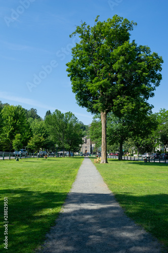 Walk in the Park