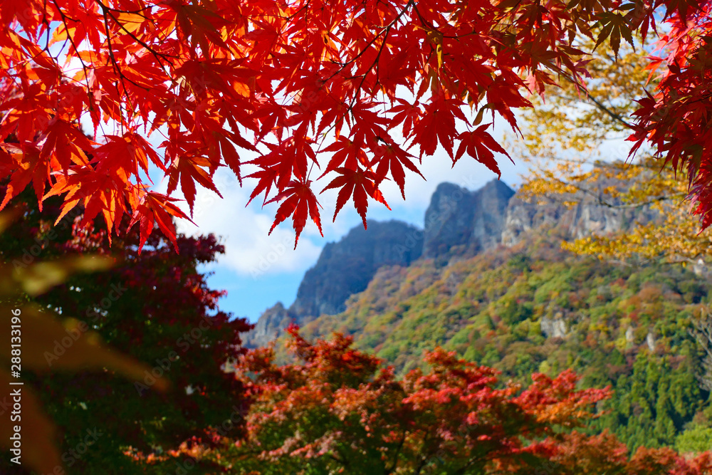 群馬の旅、紅葉と妙義山。下仁田　富岡　群馬　日本。１１月上旬。