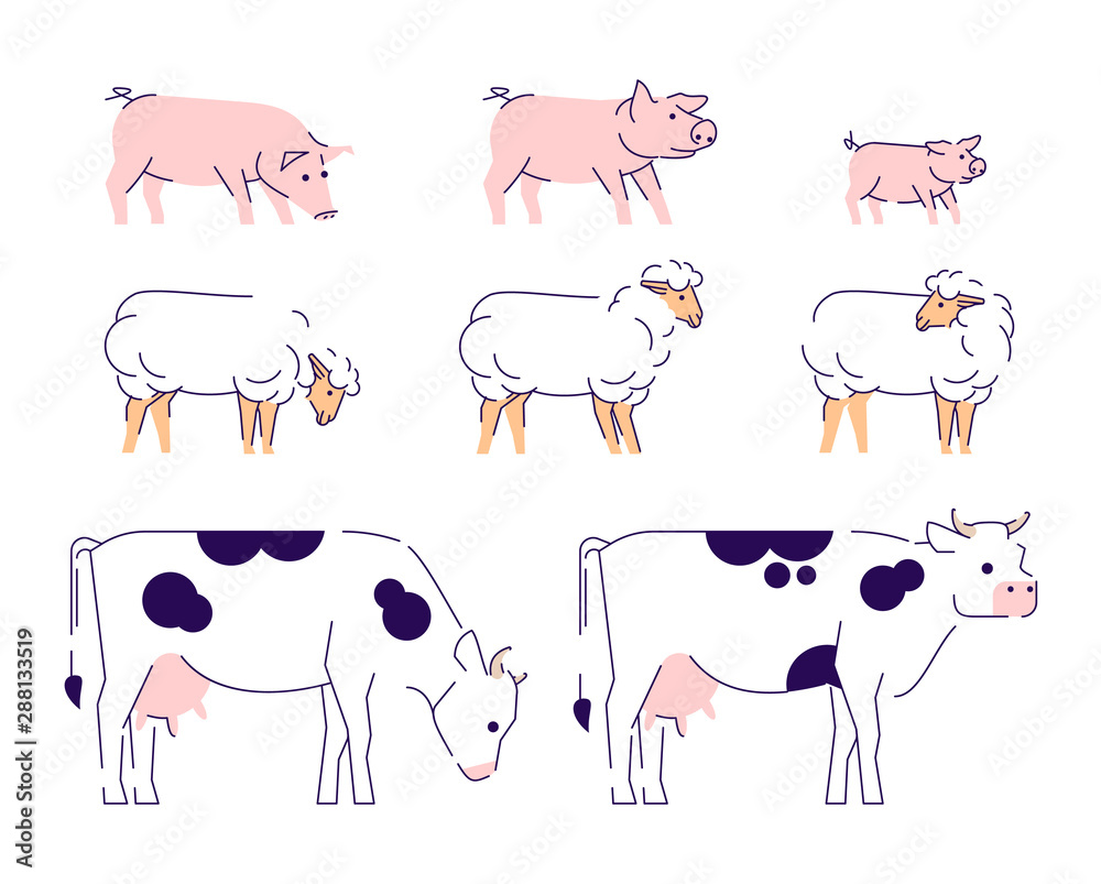 Agricultural animals flat vector illustration. Livestock farming, domestic  animals husbandry design elements with outline. Cows, sheeps and pigs side  view isolated on white background Stock Vector | Adobe Stock