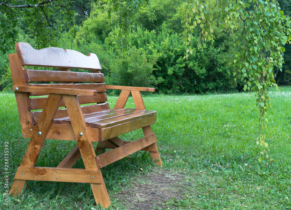 wooden bench in the Park on the grass wooden bench in the Park on the grass