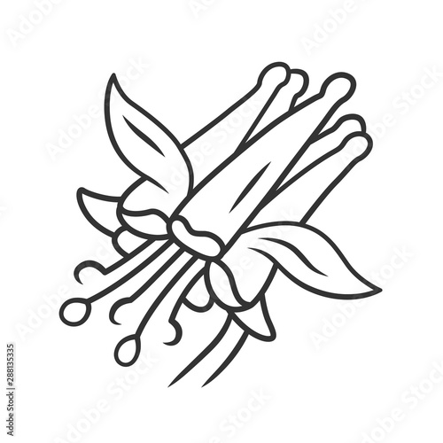 Crimson columbine linear icon. Aquilegia formosa. Blooming wildflower. Spring blossom. Red columbine. Wild herbaceous plant. Thin line illustration. Contour symbol. Vector isolated outline drawing © bsd studio