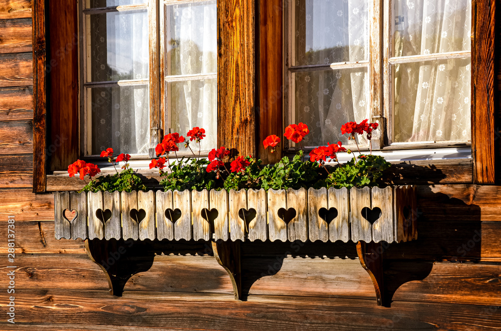 Typical red geranium flowers in the windows of traditional Alpine ...