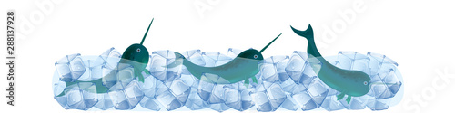 Narwhal in ice cubes cute vector illustration.