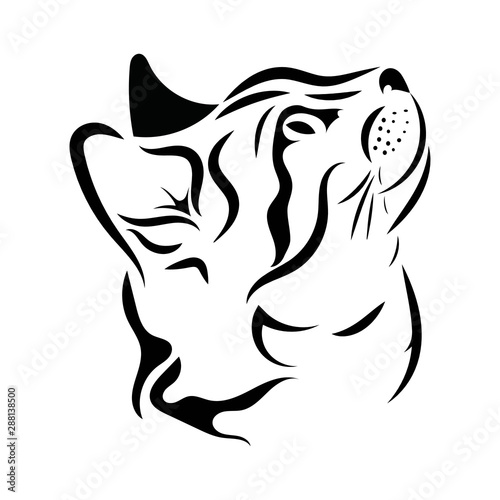 Portrait of a cat. Cute kitten. Black white illustration of a cat. Stylized pet. Cat head tattoo.