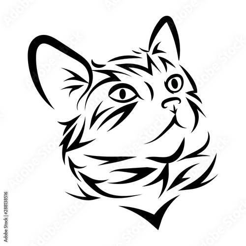 Portrait of a cat. Cute kitten. Black white illustration of a cat. Stylized pet. Cat head tattoo.