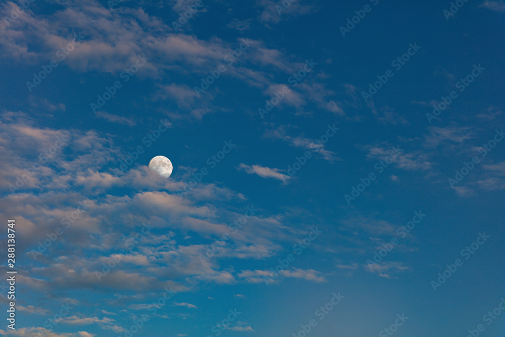Obraz premium Beautiful full moon in the cloudy evening sky