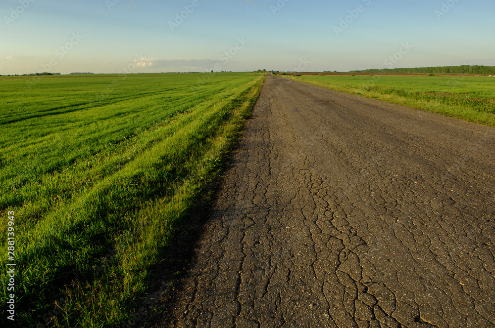 old asphalt road through green fields at sunset old asphalt road through green fields at sunset