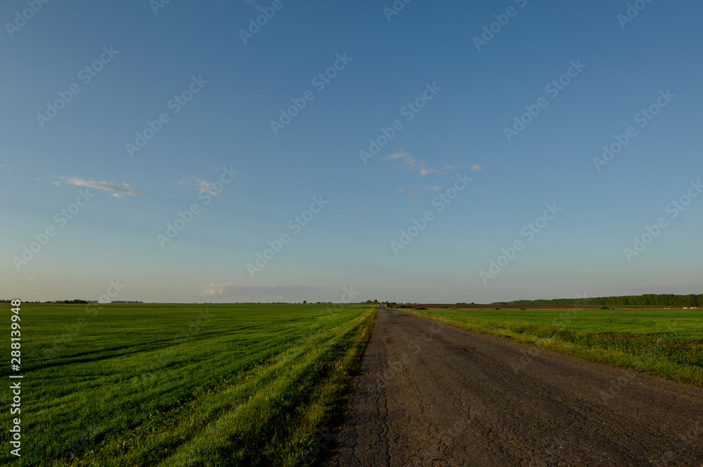 old asphalt road through green fields at sunset