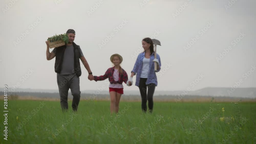 Family farmers are walking along the field at sunset, carrying box with fresh vegetables and tools for farming. Organic farming and family business concept. Healthy family lifestyle. Harvest time. Family farmers are walking along the field at sunset, carrying box with fresh vegetables and tools for farming. Organic farming and family business concept. Healthy family lifestyle. Harvest time.