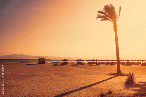 Summer beach of free space and palms. Ocean landscape and free space for your decoration. 