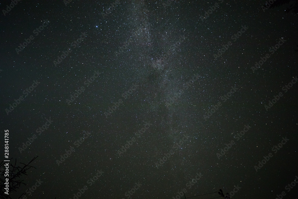 Night sky stars, milky way. Tree silhouette Night sky stars, milky way. Tree silhouette
