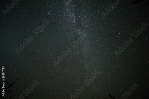 Night sky stars  milky way. Tree silhouette