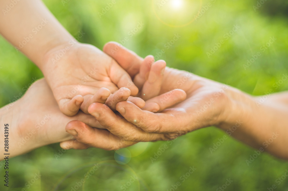 Childs hand and old hand grandmother. Concept idea of love family protecting children and elderly people grandmother friendship togetherness relationship Two generation. Childs hand and old hand grandmother. Concept idea of love family protecting children and elderly people grandmother friendship togetherness relationship Two generation.