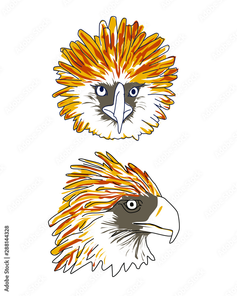Philippine eagle vector design graphics Stock Vector | Adobe Stock