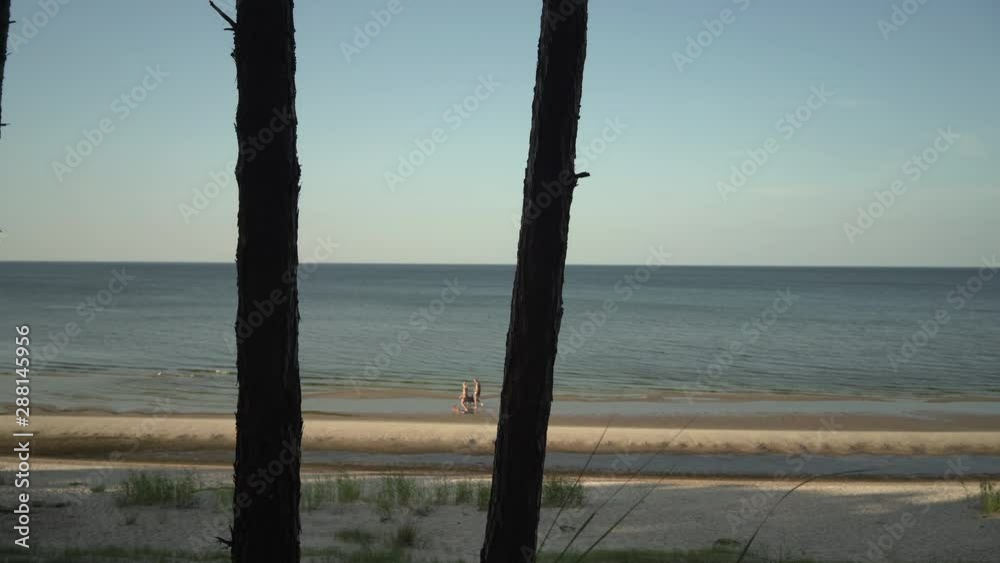 Walk along the yellow sandy beach behind the pine trees in the dunes of the Baltic Sea in Latvia in summer Walk along the yellow sandy beach behind the pine trees in the dunes of the Baltic Sea in Latvia in summer