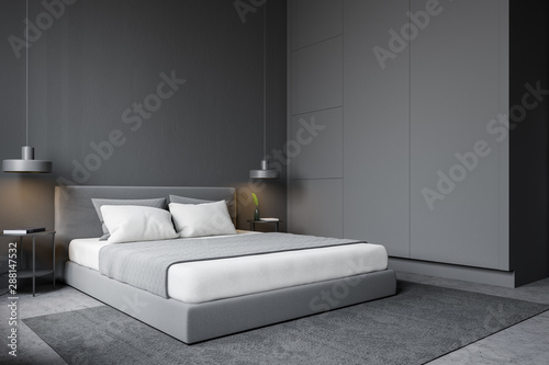 Gray modern master bedroom corner