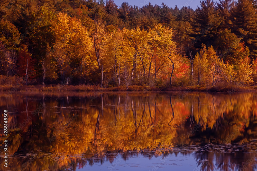 Beautiful view of the autumn lake. Reflection of red, orange yellow trees in the calm smooth surface of the lake. A riot of autumn colors. Acadia National Park. USA. Maine