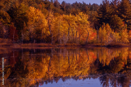 Beautiful view of the autumn lake. Reflection of red, orange yellow trees in the calm smooth surface of the lake. A riot of autumn colors. Acadia National Park. USA. Maine © Ann Stryzhekin