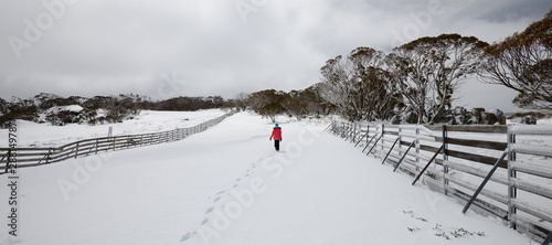 Solitary walker on the snow field