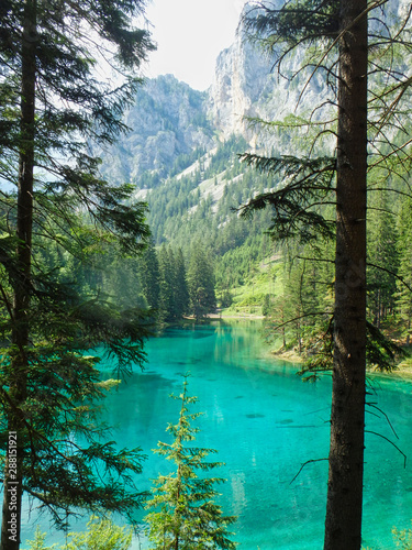 Φωτογραφία wonderful green lake in the woods