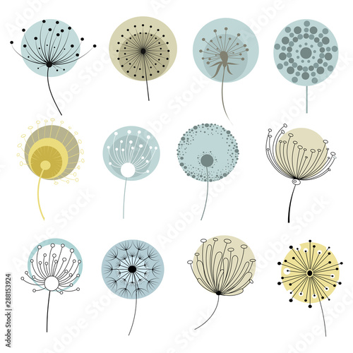 Set of dandelions. Collection of stylized dandelions. Decorative flowers. Flower bud logo. Vector illustration.