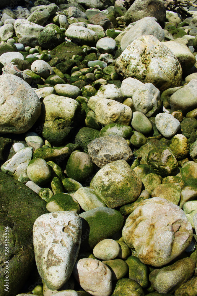 Green sea water stones and rocks resting on seashore Green sea water stones and rocks resting on seashore