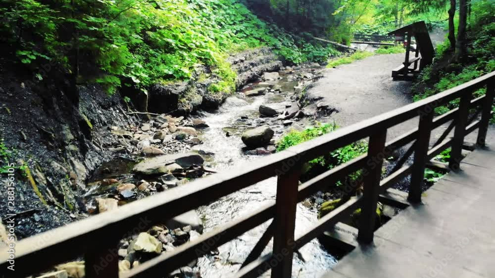 A mountain river flows among the rocky shores in the forest. A mountain river flows among the rocky shores in the forest.