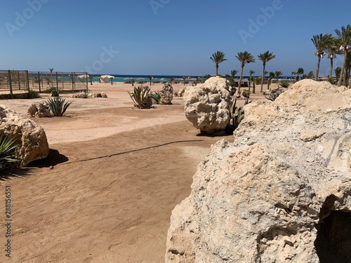 ruins of temple in luxor