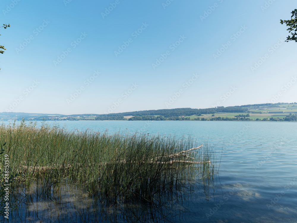 Schweizer Seenlandschaft - Der Hallwilersee - Kanton Aargau - Romantische Wanderweg zwischen Beinwil am see und Mosen mit schöne Aussicht auf den blau See