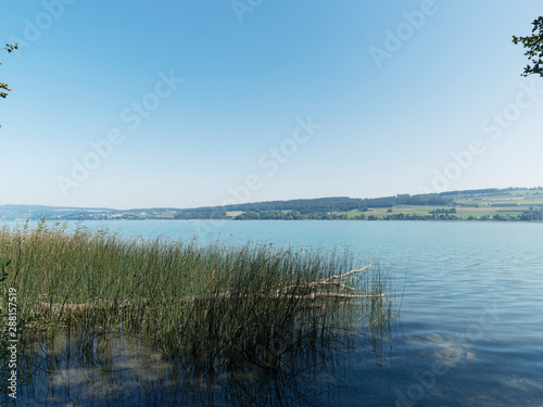 Schweizer Seenlandschaft - Der Hallwilersee - Kanton Aargau - Romantische Wanderweg zwischen Beinwil am see und Mosen mit schöne Aussicht auf den blau See © Marc