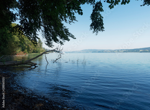 Schweizer Seenlandschaft - Der Hallwilersee - Kanton Aargau - Romantische Wanderweg. Schöne Aussicht auf den blau See photo