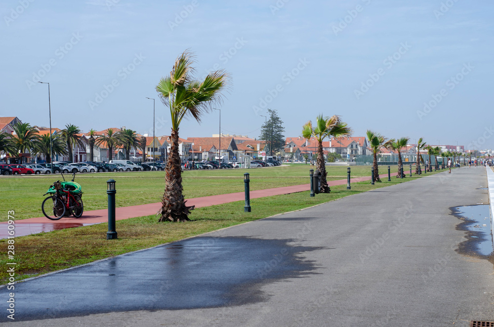 Promenade in Costa Nova with palm trees, green grass and little cute houses, Portugal