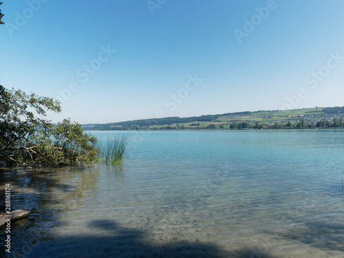  Schweizer Seenlandschaft - Seeblick Hallwilersee  photo