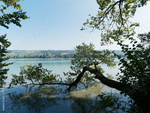 Schweizer Seenlandschaft - Rund um den Hallwilersee - Romantische und Schöner Wanderweg. Schöne Aussicht auf den See photo
