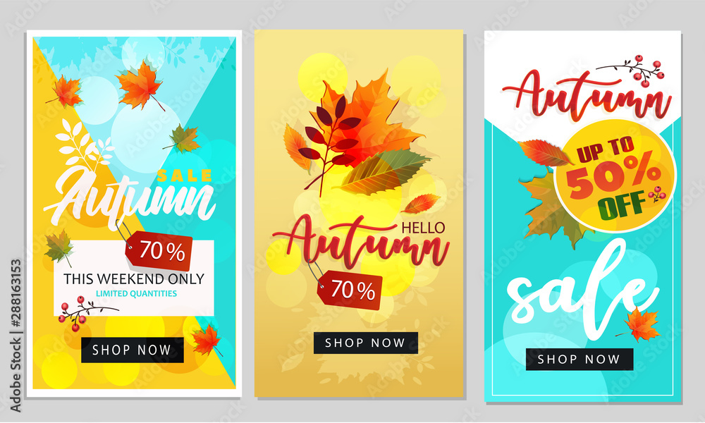 Hello autumn background layout decorate with leaves for shopping sale or promo poster and frame leaflet or web banner.Vector illustration template.