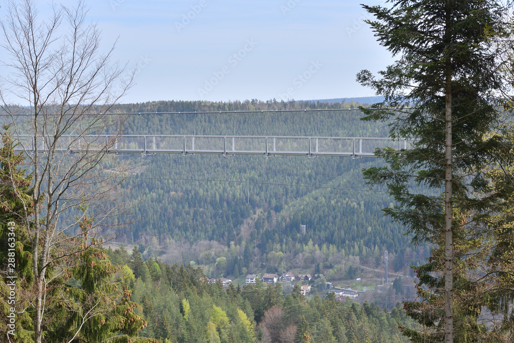 Beautiful landscape with a hanging iron bridge over a coniferous forest in Germany, Schwarzwald